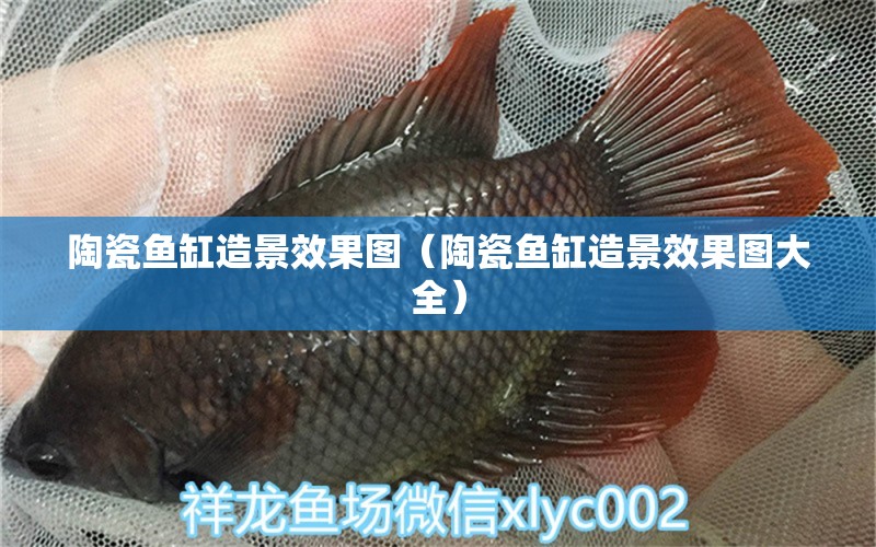 陶瓷鱼缸造景效果图（陶瓷鱼缸造景效果图大全） 祥龙水族医院