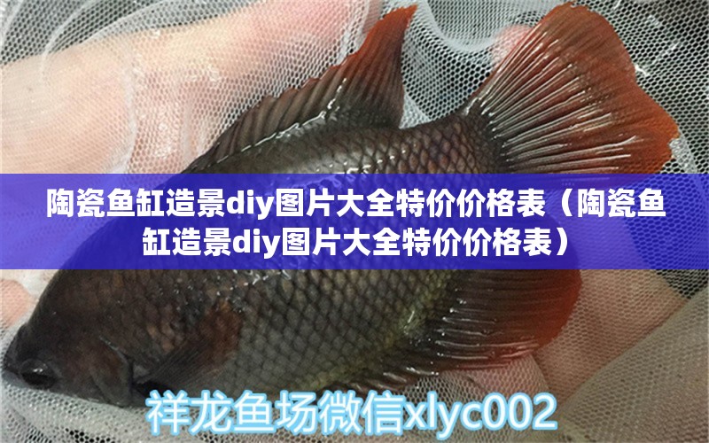 陶瓷鱼缸造景diy图片大全特价价格表（陶瓷鱼缸造景diy图片大全特价价格表）