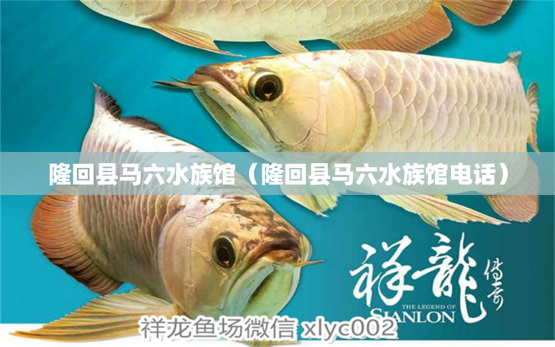 隆回县马六水族馆（隆回县马六水族馆电话） 全国水族馆企业名录