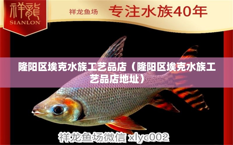 隆阳区埃克水族工艺品店（隆阳区埃克水族工艺品店地址） 全国水族馆企业名录