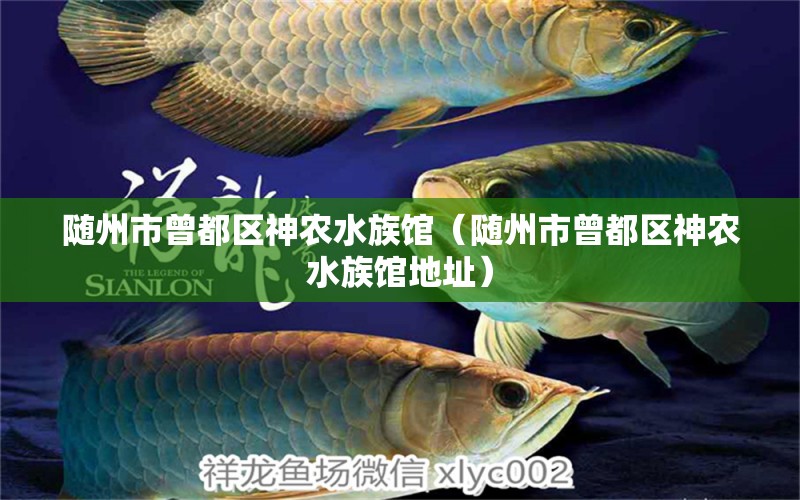 随州市曾都区神农水族馆（随州市曾都区神农水族馆地址）