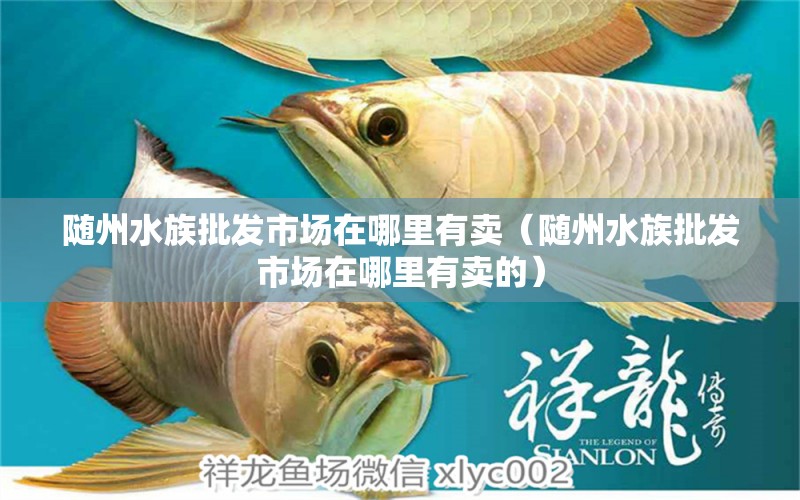 随州水族批发市场在哪里有卖（随州水族批发市场在哪里有卖的）