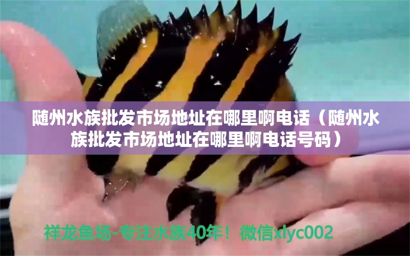 随州水族批发市场地址在哪里啊电话（随州水族批发市场地址在哪里啊电话号码） 巴西亚鱼苗