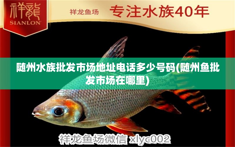 随州水族批发市场地址电话多少号码(随州鱼批发市场在哪里) 观赏鱼水族批发市场