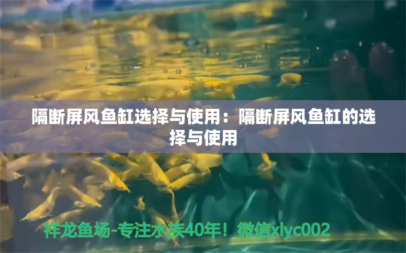 隔断屏风鱼缸选择与使用：隔断屏风鱼缸的选择与使用 鱼缸百科 第2张