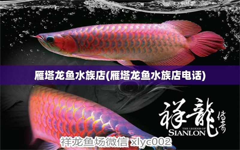 雁塔龙鱼水族店(雁塔龙鱼水族店电话)