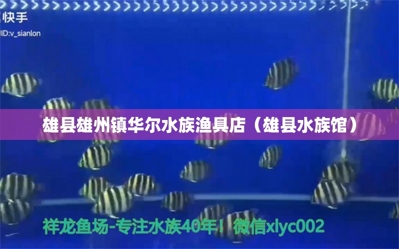 雄县雄州镇华尔水族渔具店（雄县水族馆） 全国水族馆企业名录