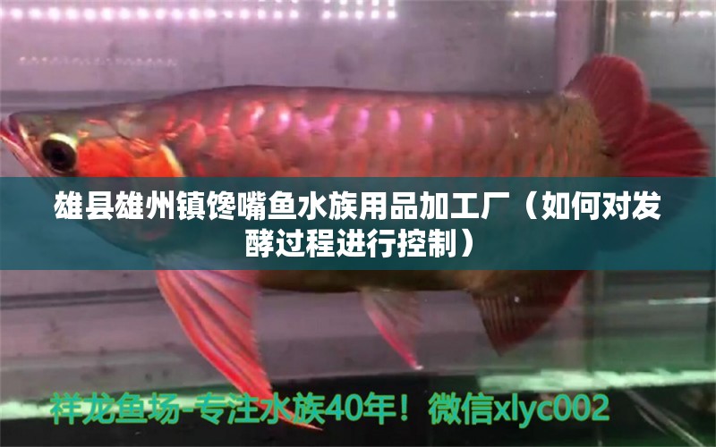 雄县雄州镇馋嘴鱼水族用品加工厂（如何对发酵过程进行控制） 水族用品