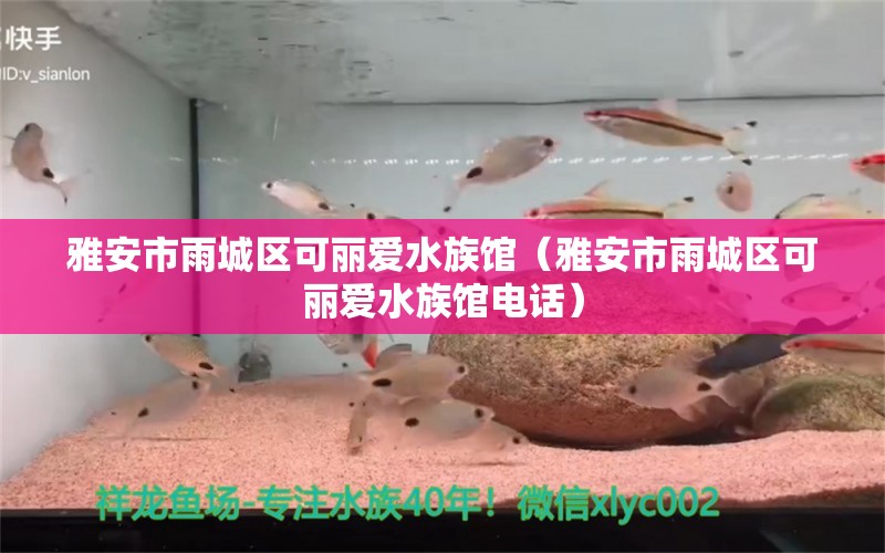 雅安市雨城区可丽爱水族馆（雅安市雨城区可丽爱水族馆电话）