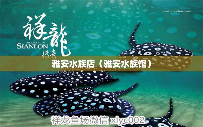 雅安水族店（雅安水族馆）