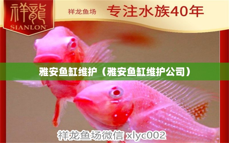 雅安鱼缸维护（雅安鱼缸维护公司） 祥龙水族医院