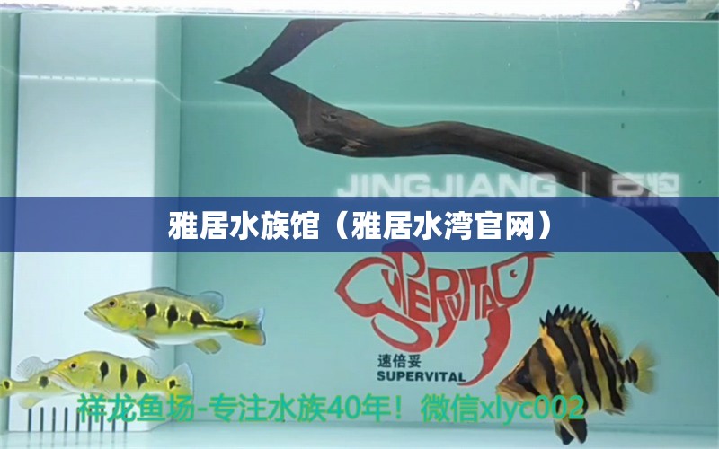 雅居水族馆（雅居水湾官网） 全国水族馆企业名录