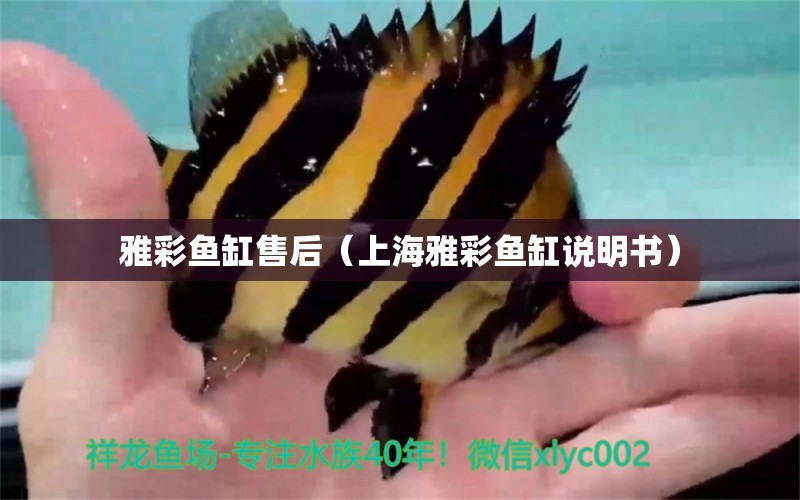 雅彩鱼缸售后（上海雅彩鱼缸说明书） 其它水族用具设备