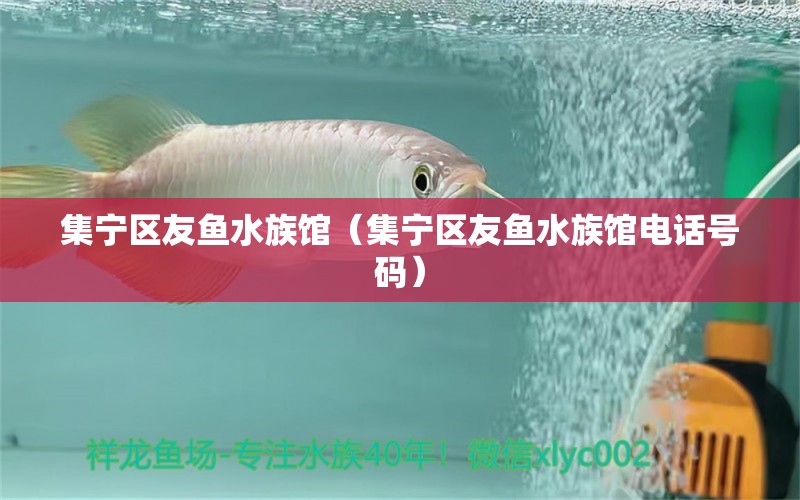 集宁区友鱼水族馆（集宁区友鱼水族馆电话号码）