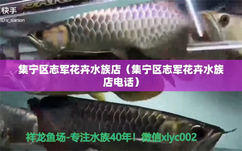 集宁区志军花卉水族店（集宁区志军花卉水族店电话） 全国水族馆企业名录