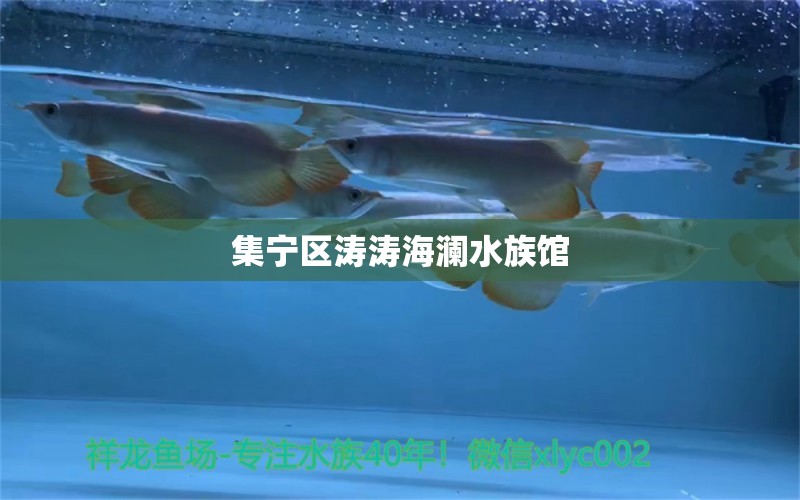 集宁区涛涛海澜水族馆 全国水族馆企业名录