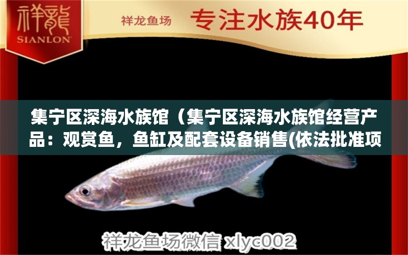 集宁区深海水族馆（集宁区深海水族馆经营产品：观赏鱼，鱼缸及配套设备销售(依法批准项目）