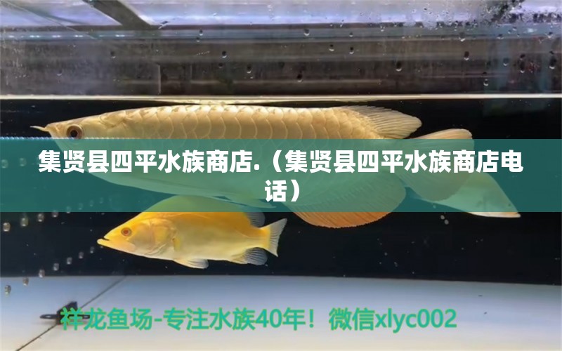 集贤县四平水族商店.（集贤县四平水族商店电话）