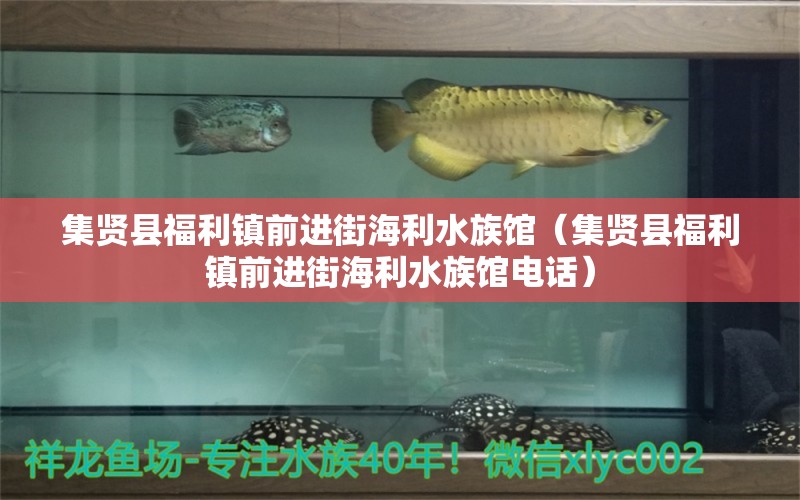 集贤县福利镇前进街海利水族馆（集贤县福利镇前进街海利水族馆电话）