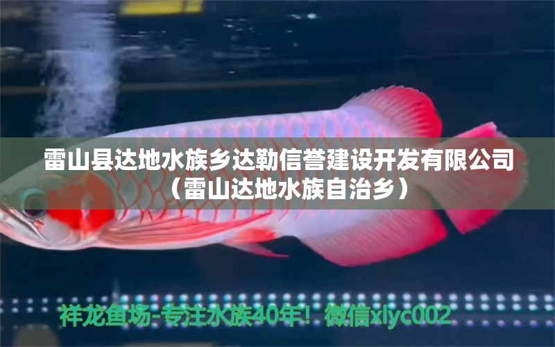 雷山县达地水族乡达勒信誉建设开发有限公司（雷山达地水族自治乡）