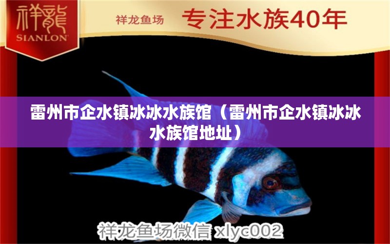 雷州市企水镇冰冰水族馆（雷州市企水镇冰冰水族馆地址） 全国水族馆企业名录