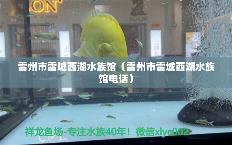 雷州市雷城西湖水族馆（雷州市雷城西湖水族馆电话）