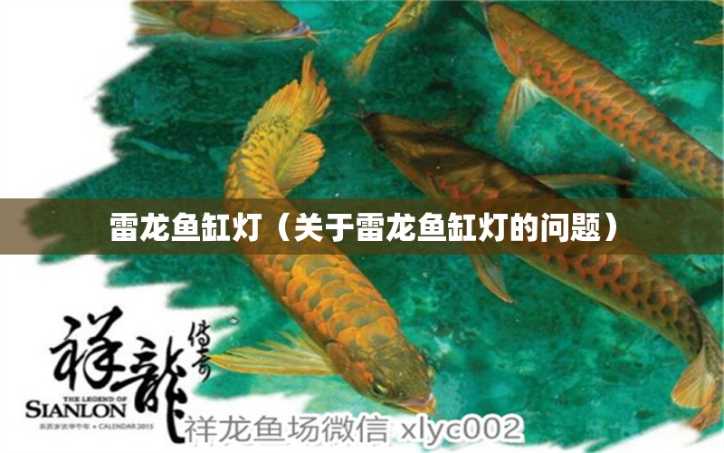 雷龙鱼缸灯（关于雷龙鱼缸灯的问题） 水族问答 第1张