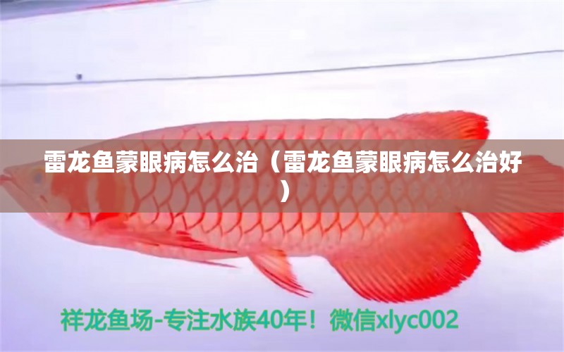 雷龙鱼蒙眼病怎么治（雷龙鱼蒙眼病怎么治好） 祥龙水族医院