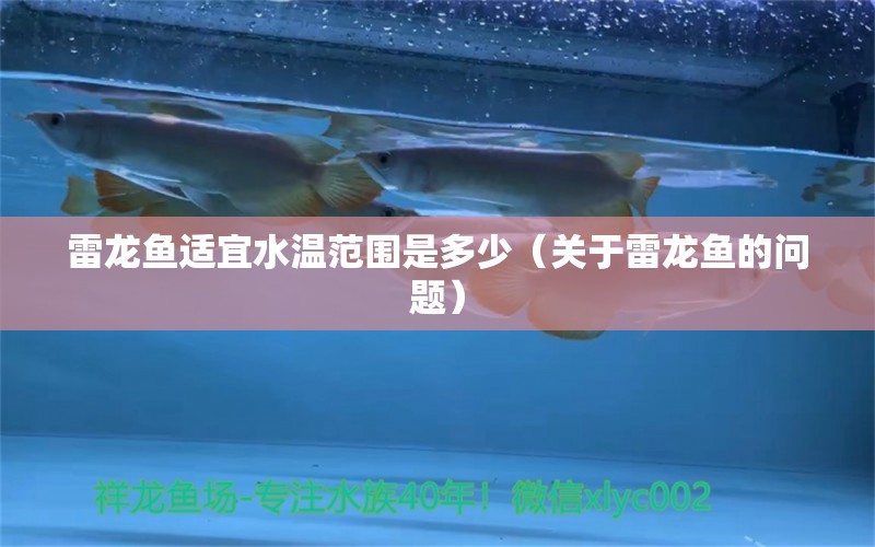 雷龙鱼适宜水温范围是多少（关于雷龙鱼的问题） 水族问答 第1张