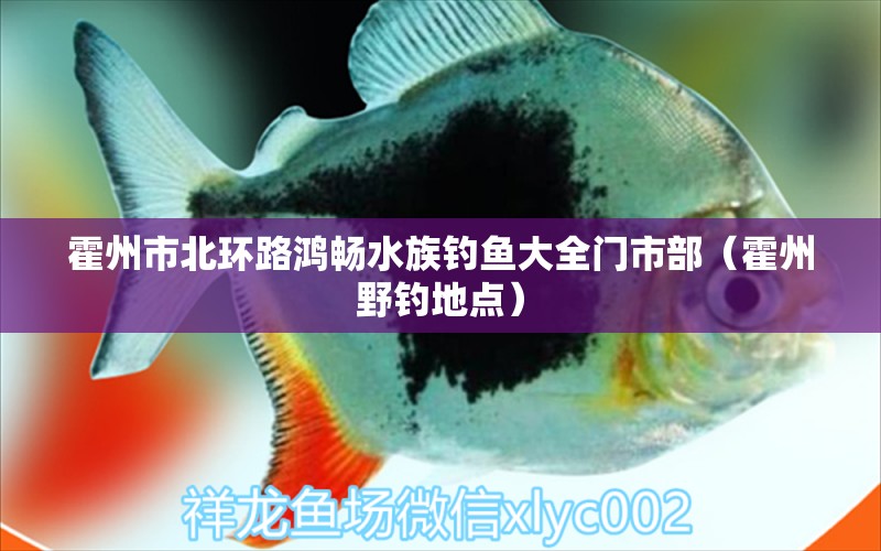 霍州市北环路鸿畅水族钓鱼大全门市部（霍州野钓地点）