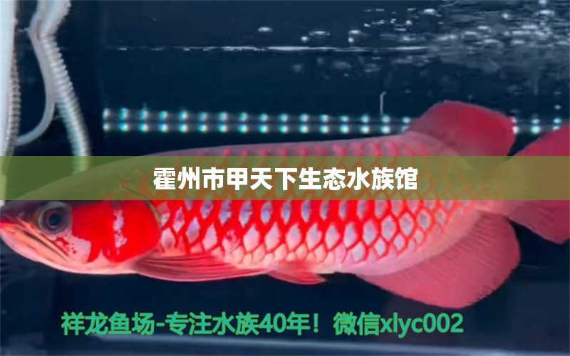 霍州市甲天下生态水族馆