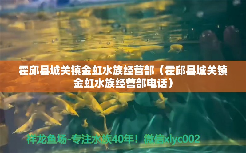 霍邱县城关镇金虹水族经营部（霍邱县城关镇金虹水族经营部电话）