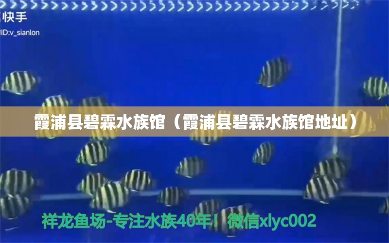 霞浦县碧霖水族馆（霞浦县碧霖水族馆地址）