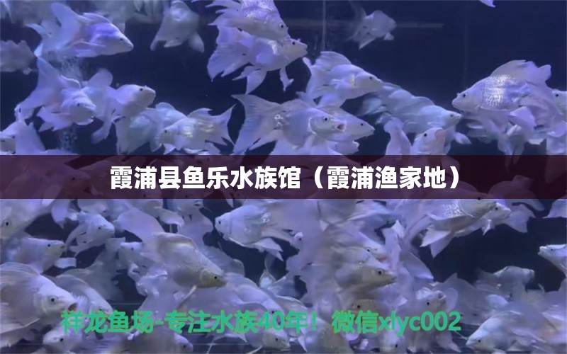 霞浦县鱼乐水族馆（霞浦渔家地）