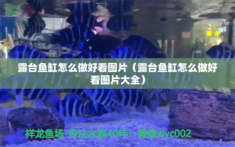 露台鱼缸怎么做好看图片（露台鱼缸怎么做好看图片大全）