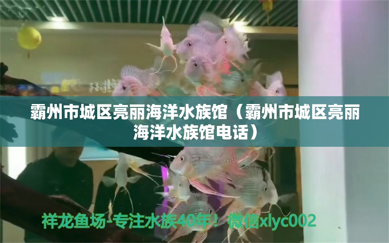 霸州市城区亮丽海洋水族馆（霸州市城区亮丽海洋水族馆电话）