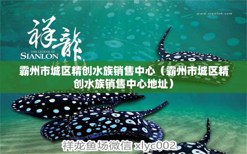 霸州市城区精创水族销售中心（霸州市城区精创水族销售中心地址）