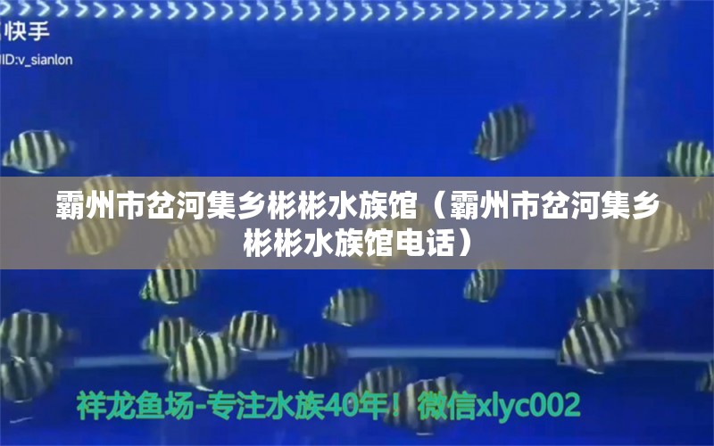 霸州市岔河集乡彬彬水族馆（霸州市岔河集乡彬彬水族馆电话）