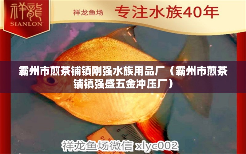 霸州市煎茶铺镇刚强水族用品厂（霸州市煎茶铺镇强盛五金冲压厂）