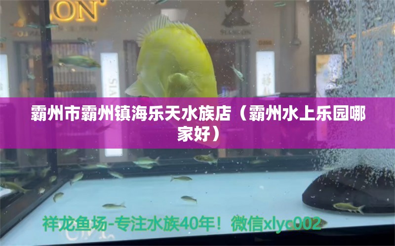 霸州市霸州镇海乐天水族店（霸州水上乐园哪家好） 全国水族馆企业名录