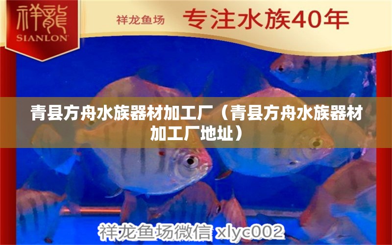 青县方舟水族器材加工厂（青县方舟水族器材加工厂地址）