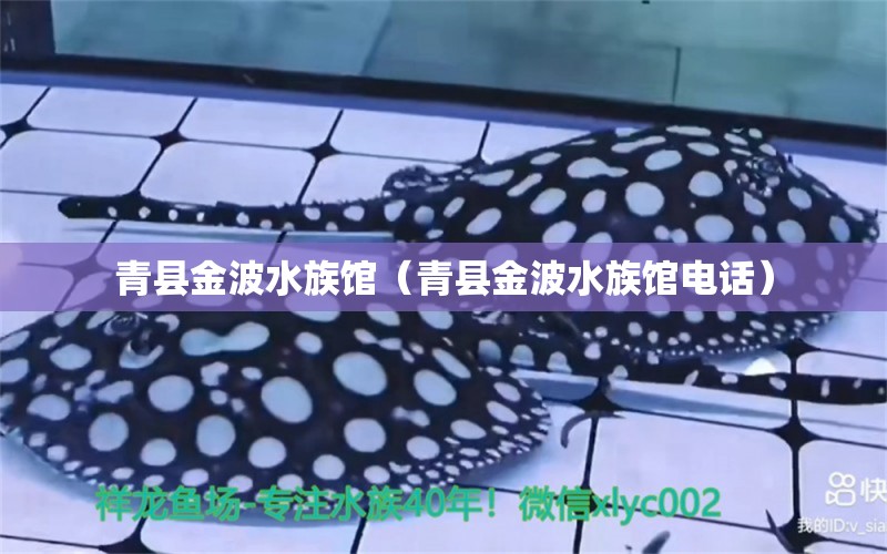 青县金波水族馆（青县金波水族馆电话）