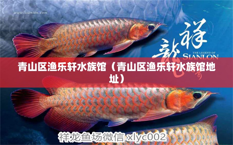 青山区渔乐轩水族馆（青山区渔乐轩水族馆地址）