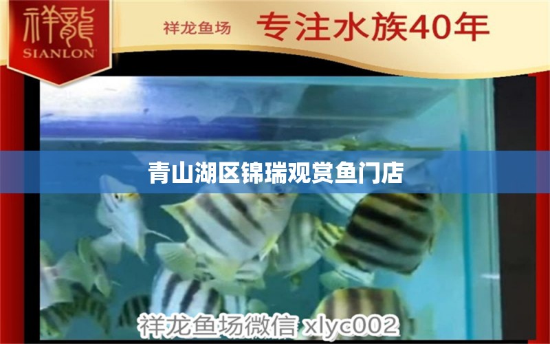 青山湖区锦瑞观赏鱼门店 全国水族馆企业名录