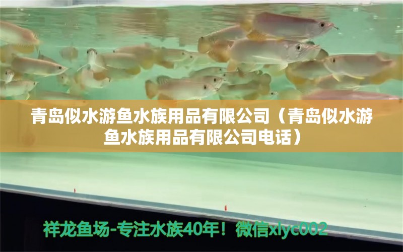 青岛似水游鱼水族用品有限公司（青岛似水游鱼水族用品有限公司电话） 水族用品