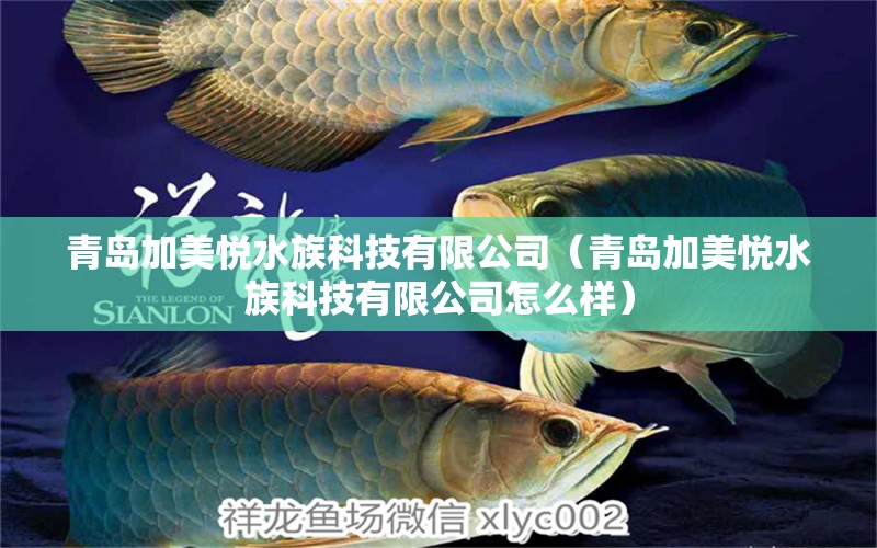 青岛加美悦水族科技有限公司（青岛加美悦水族科技有限公司怎么样） 全国水族馆企业名录