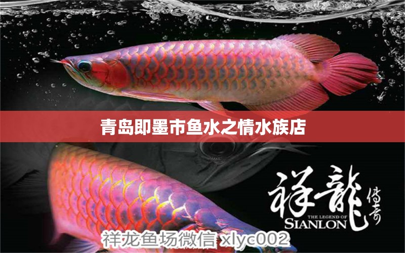 青岛即墨市鱼水之情水族店 全国水族馆企业名录