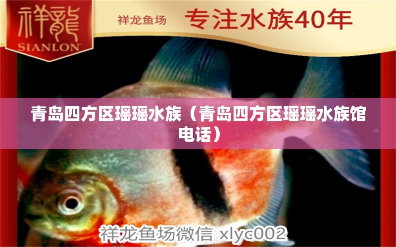 青岛四方区瑶瑶水族（青岛四方区瑶瑶水族馆电话）