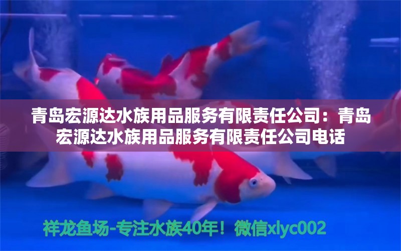 青岛宏源达水族用品服务有限责任公司：青岛宏源达水族用品服务有限责任公司电话