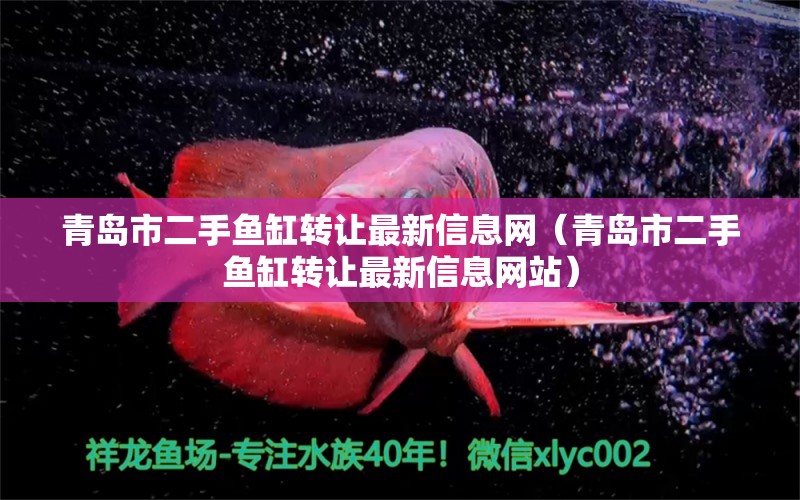 青岛市二手鱼缸转让最新信息网（青岛市二手鱼缸转让最新信息网站） 观赏鱼市场（混养鱼）